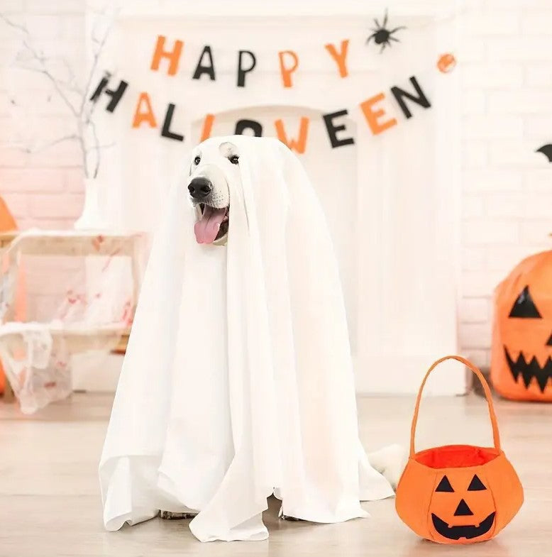 pet costume
