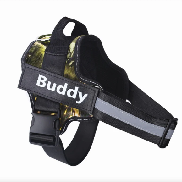 K9 Pet Harness & Leash - Customized Pet Supplies