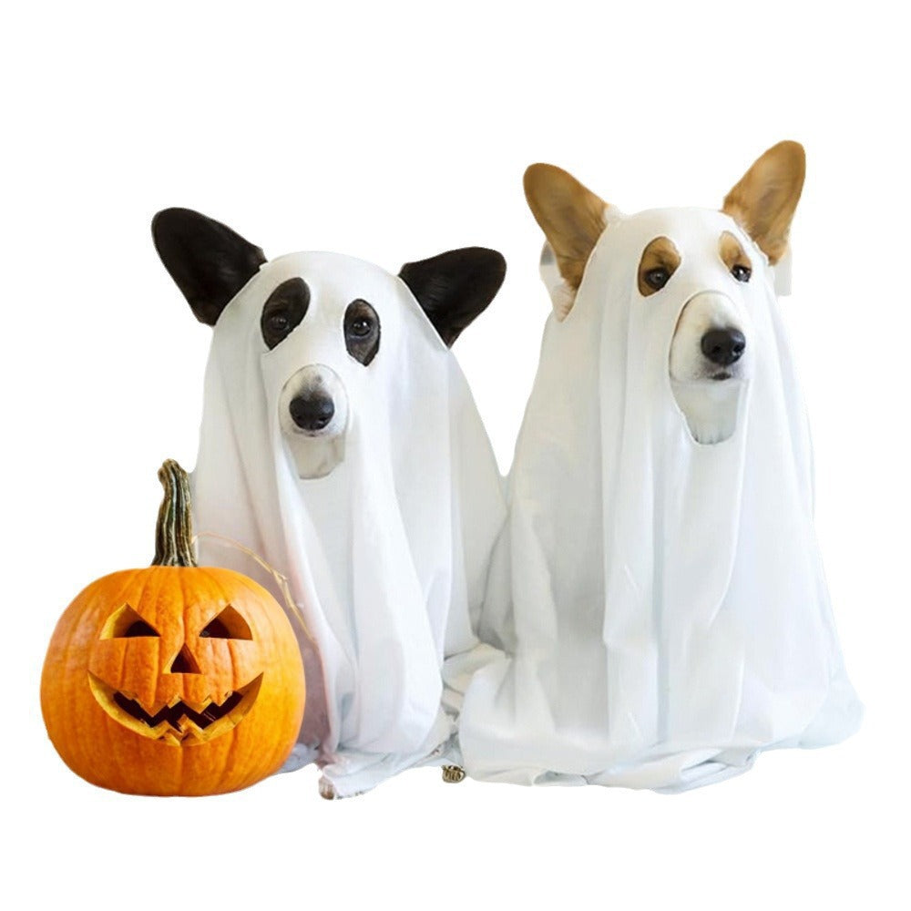 pet costume