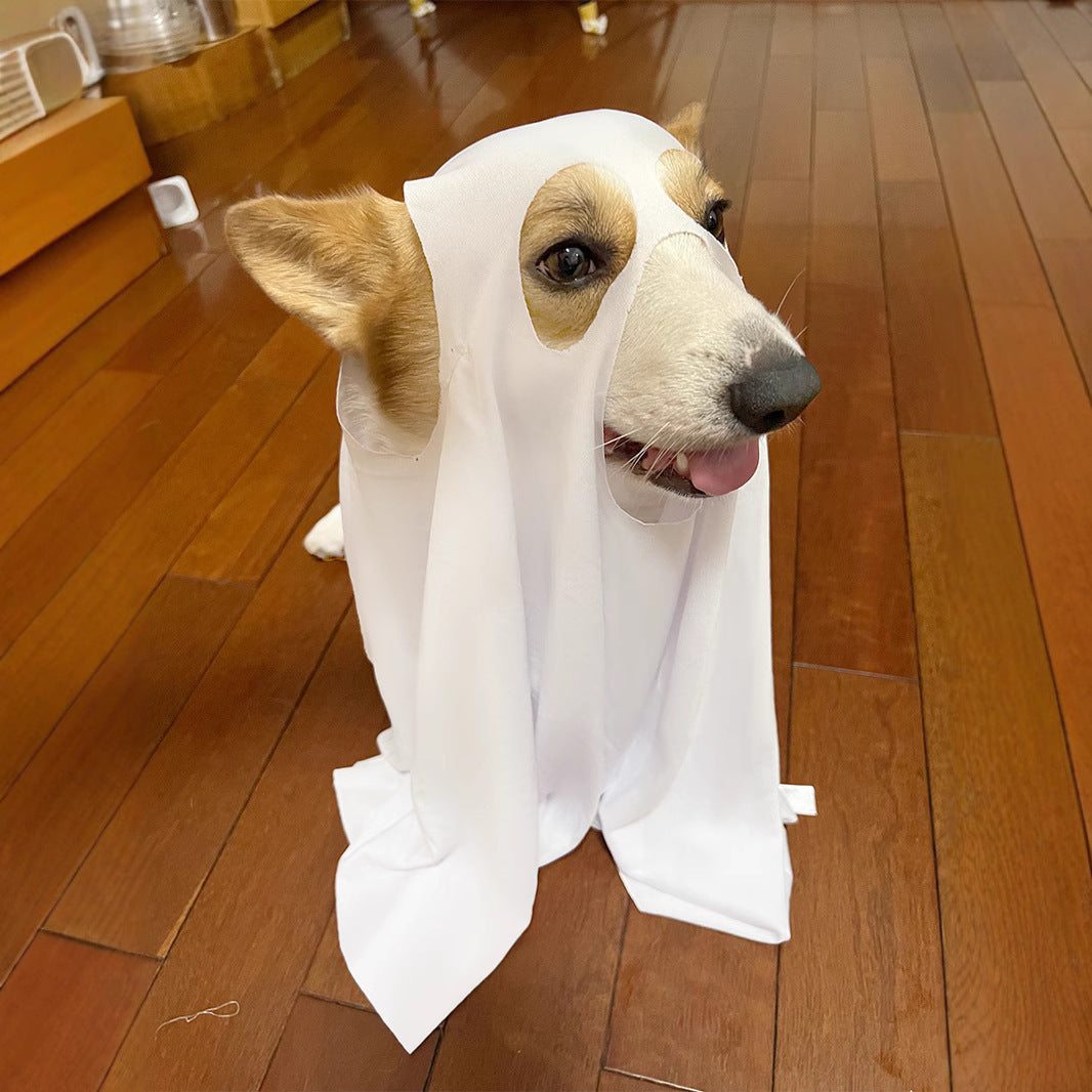 pet costume