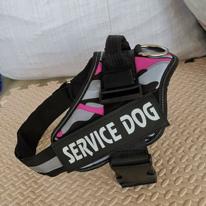 K9 Pet Harness & Leash - Customized Pet Supplies