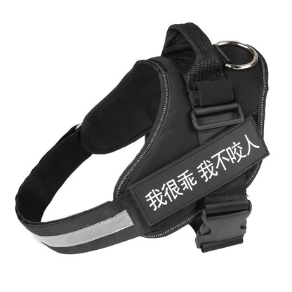 K9 Pet Harness & Leash - Customized Pet Supplies